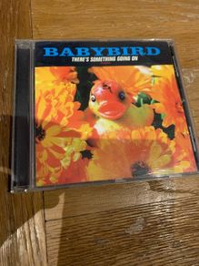 Babybird -There's Something Going On