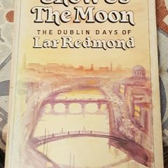 Show Us The Moon: The Dublin Days Of Lar Redmond