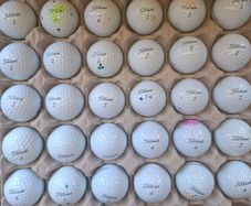 Titleist Pro V1