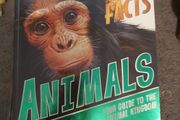 Facts on Animals