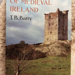 The Archaeology of Medieval Ireland