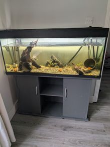 Juwel fish tank
