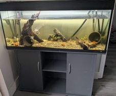 Juwel fish tank