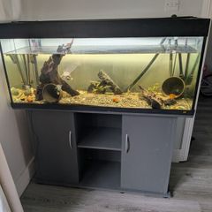 Juwel fish tank