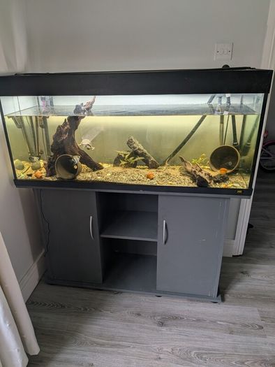 Juwel fish tank