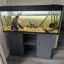 Juwel Aquarium Image 2