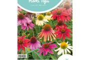 HT Coneflower Paradiso seeds 0.5g | Sow in August