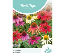 HT Coneflower Paradiso seeds 0.5g | Sow in August