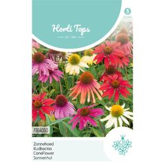 HT Coneflower Paradiso seeds 0.5g | Sow in August
