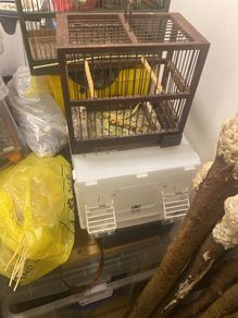 mule cages