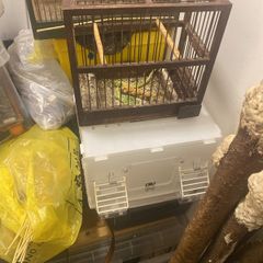 mule cages