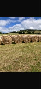 June hay