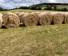 June hay