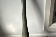 WW11  US Military Tool