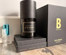 Beso Beach: Beso Dorado Discovery Samples