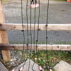Pendant spider Copper lights