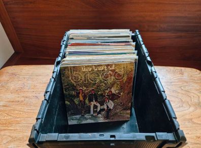 Vynil collection