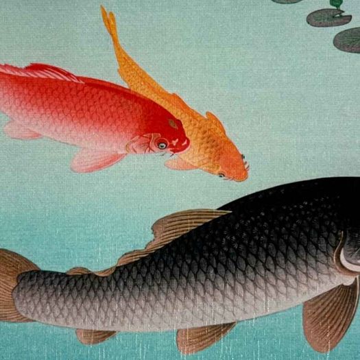 Laminate Glossy 280gsm Canvas Poster A4 Size Featuring Common and Golden Carp (1935) by Ohara Coson