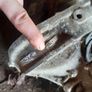 subaru impreza 2.0 awd gearbox Image 2