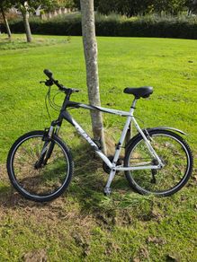 Giant Rincon XL