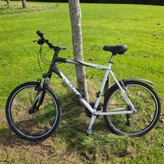 Giant Rincon XL