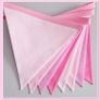 Beautiful Bunting in Shades of Pink Image 2