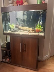 Fish tank
