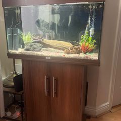 Fish tank