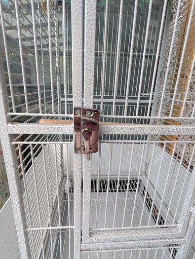 bird cage
