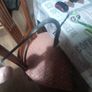Large Antique Ladle, likely dating from the early 20th century, Postage Available or Collection Image 6