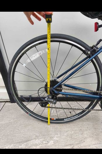 Trek Domane