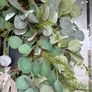 Faux eucalyptus wreath ,mixed foliage and bow detail Image 5