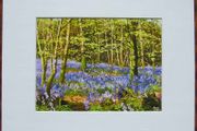 Print of an oil painting of bluebells