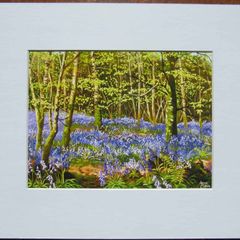 Print of an oil painting of bluebells