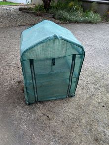 green house mini