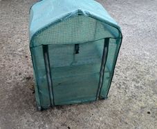 green house mini