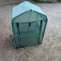 green house mini