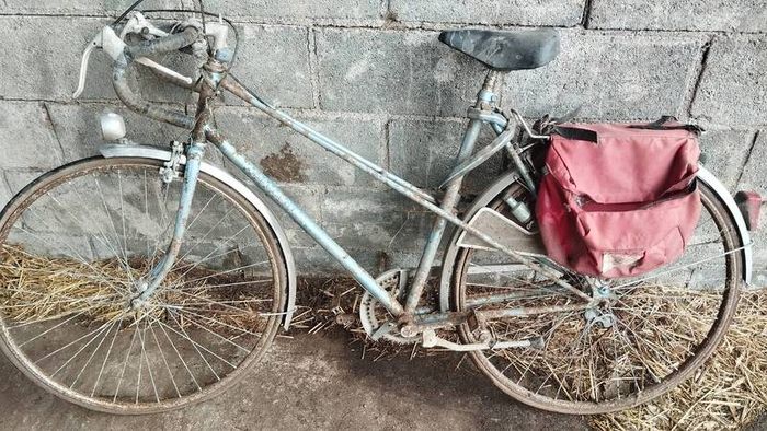Bike Bundle