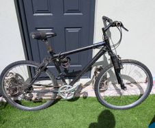 giant bike