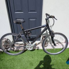 giant bike