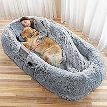Human Sized Dog Bed - Brand New