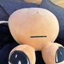 Teddies Image 5