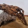 Dragon Wood Image 5
