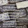 Eleanor Shanley. Eleanor Shanley. Image 2