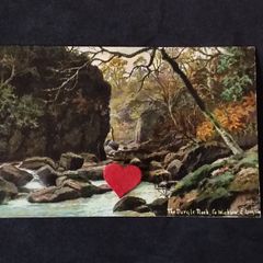 Ireland Postcard : The Dargle Rock , Co. Wicklow - 1900s