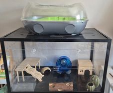Hamster cages and lots of accessories