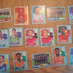 panini world cup stickers