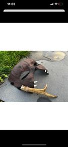 Hunters Death Mask Half Mask Post Apocalypse Scary Creepy Wild Masquerade