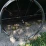 bontrager wheels Image 3