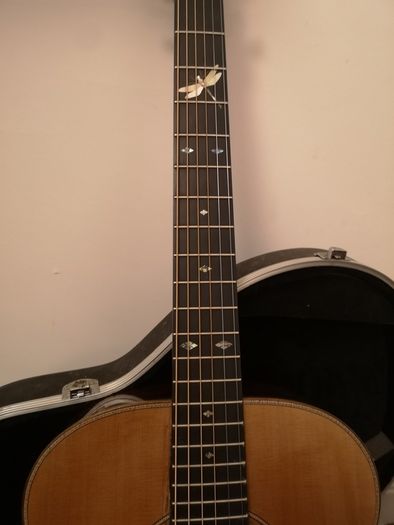 Fylde Alexander Custom